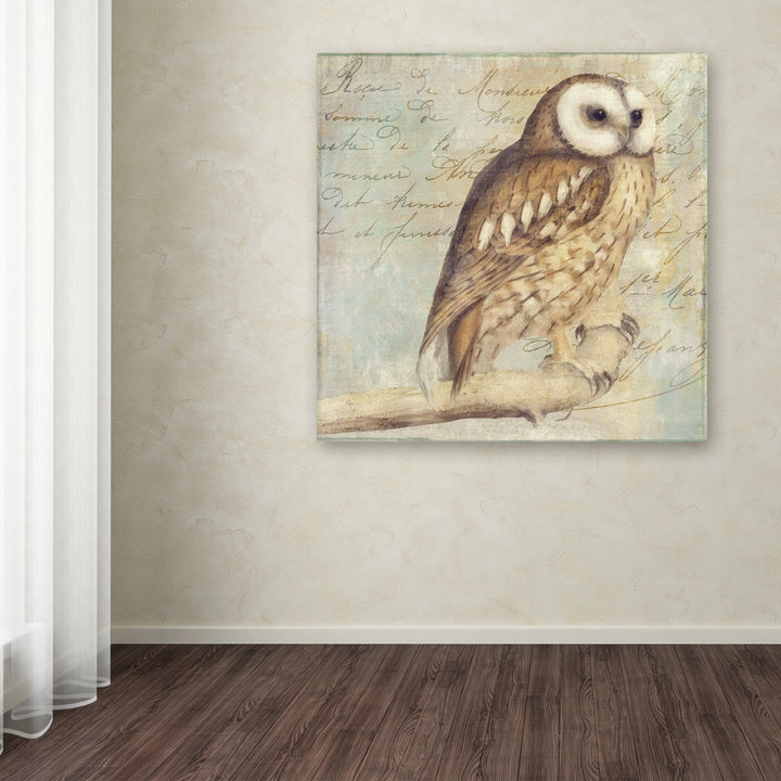 Color Bakery White-Faced Owl Huge Canvas Art 35 x 35 Image 4