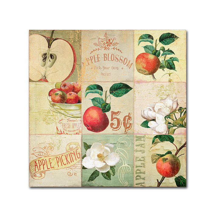 Color Bakery Apple Blossoms IV Huge Canvas Art 35 x 35 Image 1