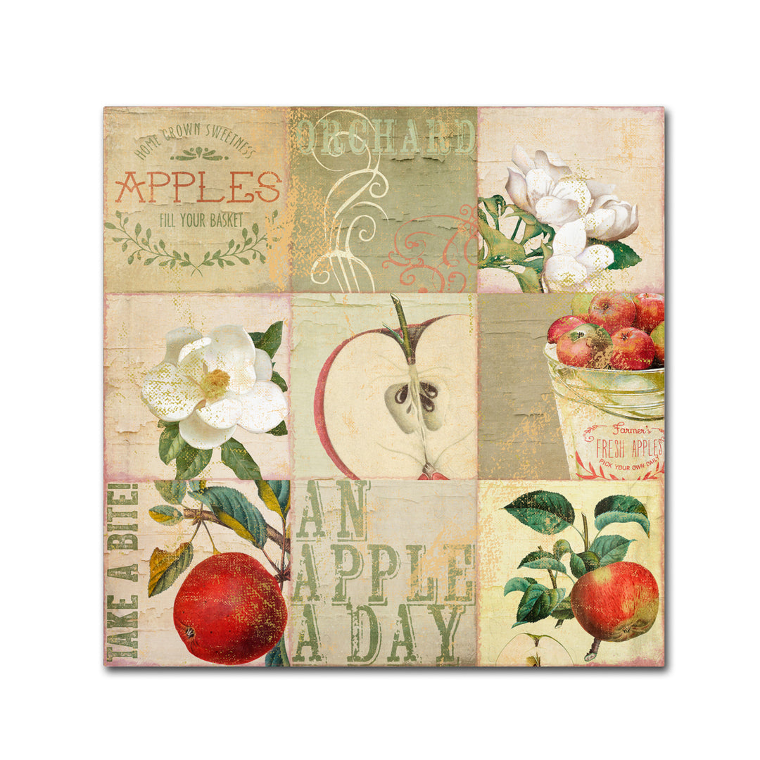 Color Bakery Apple Blossoms III Huge Canvas Art 35 x 35 Image 2