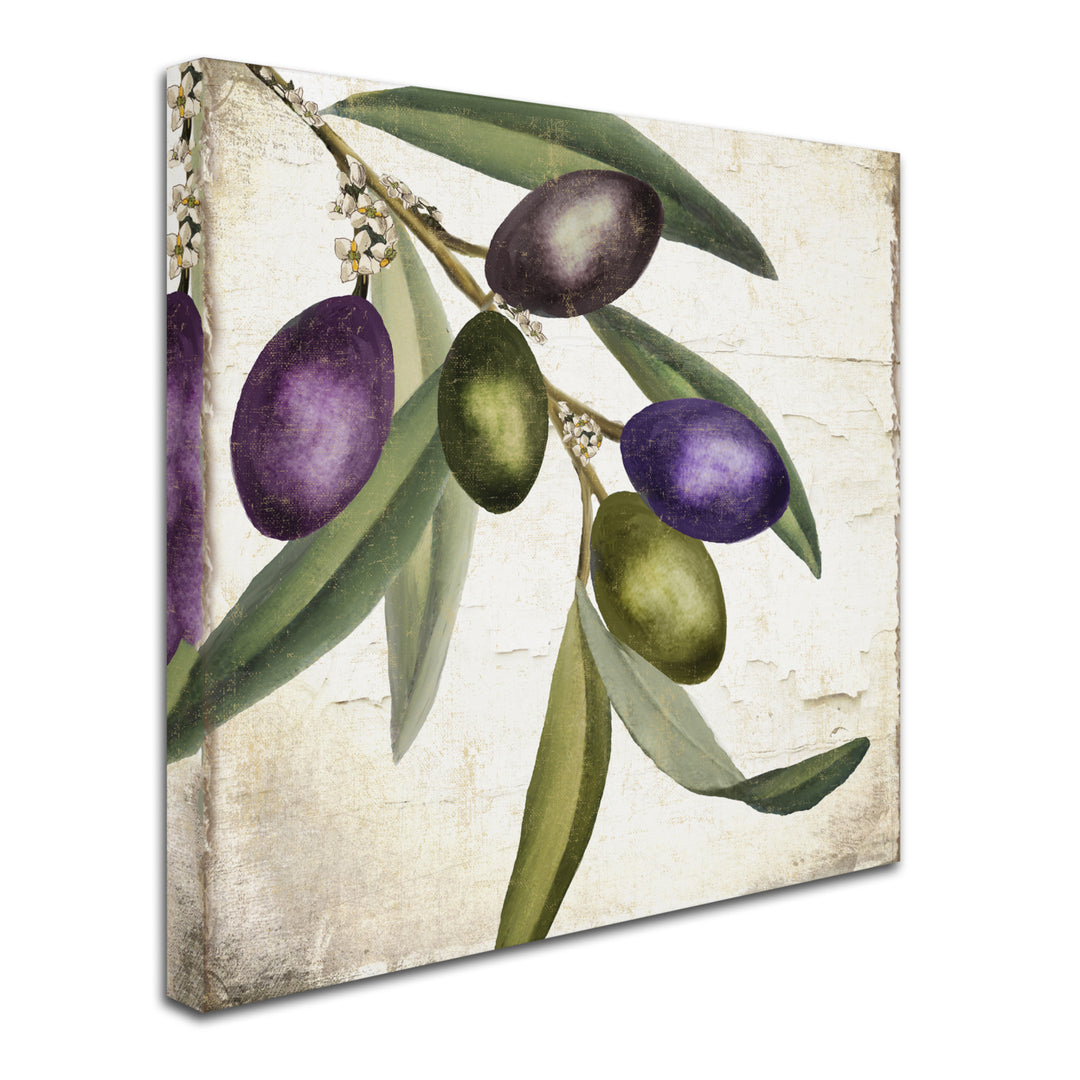 Color Bakery Olive Branch I Huge Canvas Art 35 x 35 Image 3