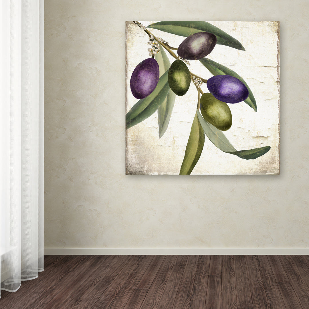 Color Bakery Olive Branch I Huge Canvas Art 35 x 35 Image 4