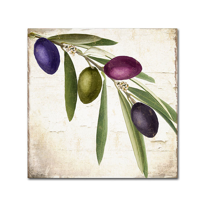Color Bakery Olive Branch IV Huge Canvas Art 35 x 35 Image 1