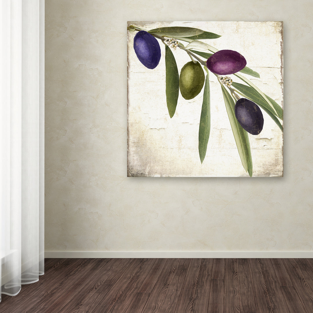 Color Bakery Olive Branch IV Huge Canvas Art 35 x 35 Image 4