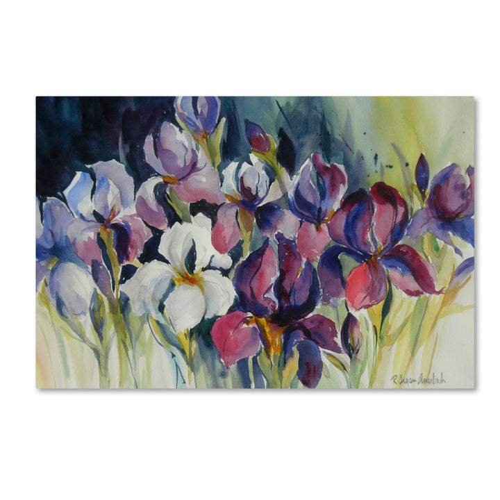 Rita Auerbach White Iris Canvas Art 16 x 24 Image 1