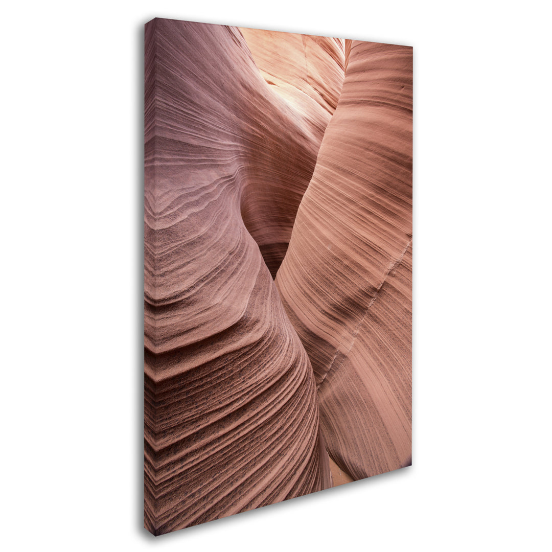 Moises Levy Spiral V Canvas Art 16 x 24 Image 2