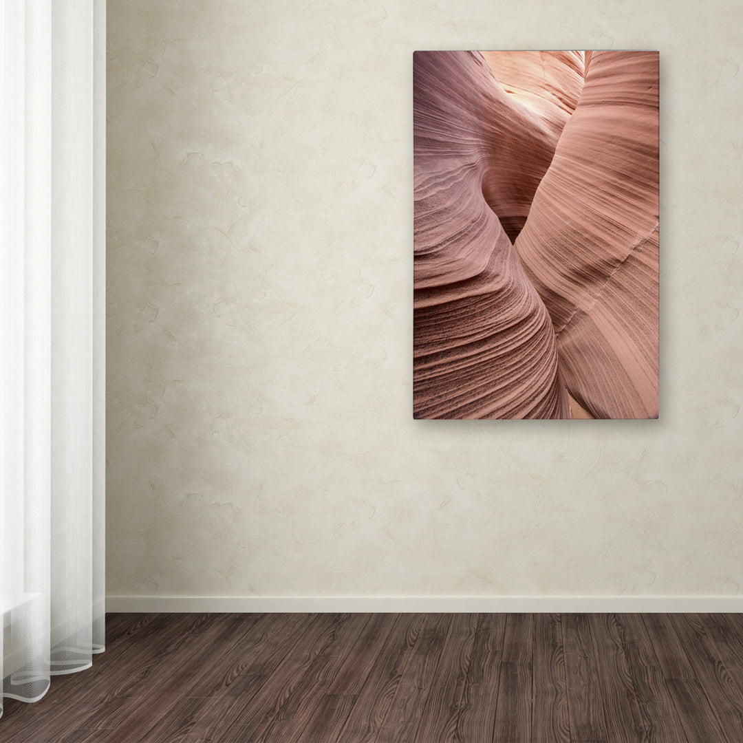 Moises Levy Spiral V Canvas Art 16 x 24 Image 3