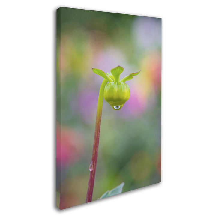 Cora Niele Dahlia Bud Canvas Art 16 x 24 Image 2