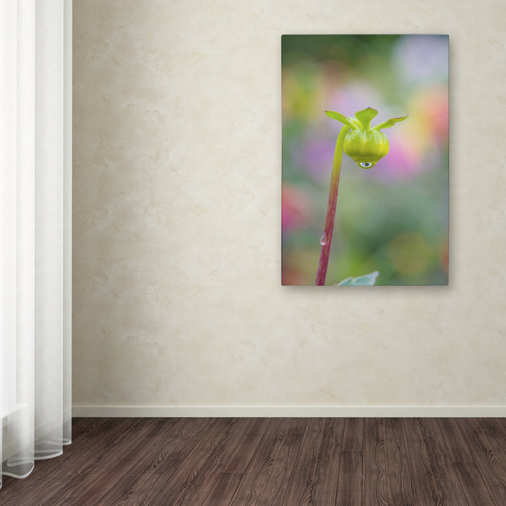 Cora Niele Dahlia Bud Canvas Art 16 x 24 Image 3