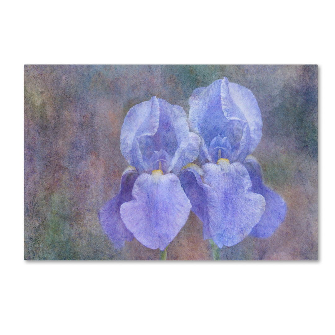 Cora Niele Iris Blue Rhythm Canvas Art 16 x 24 Image 1