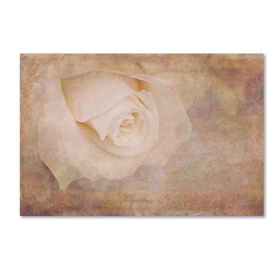 Cora Niele Vintage Rose Card Canvas Art 16 x 24 Image 1