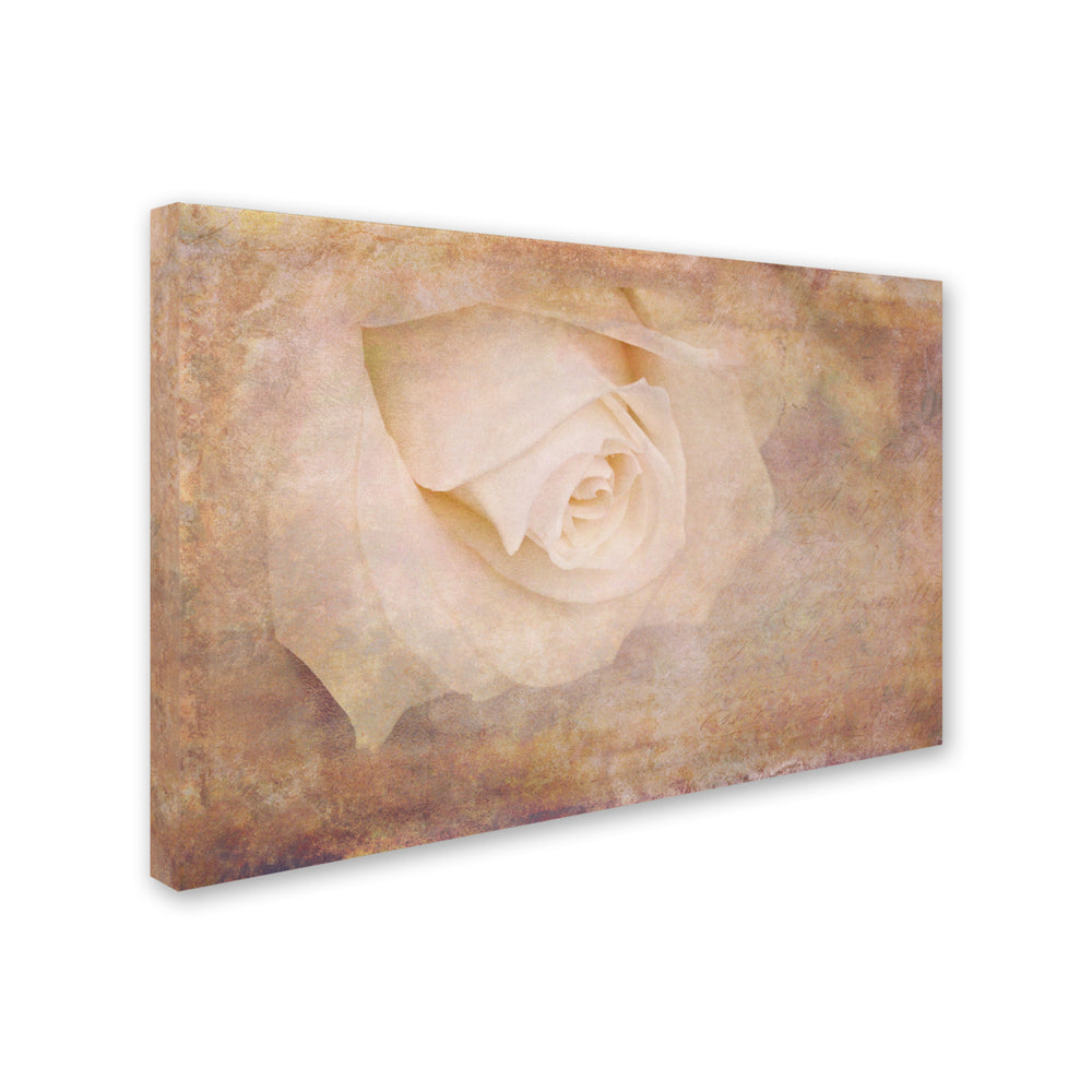 Cora Niele Vintage Rose Card Canvas Art 16 x 24 Image 2