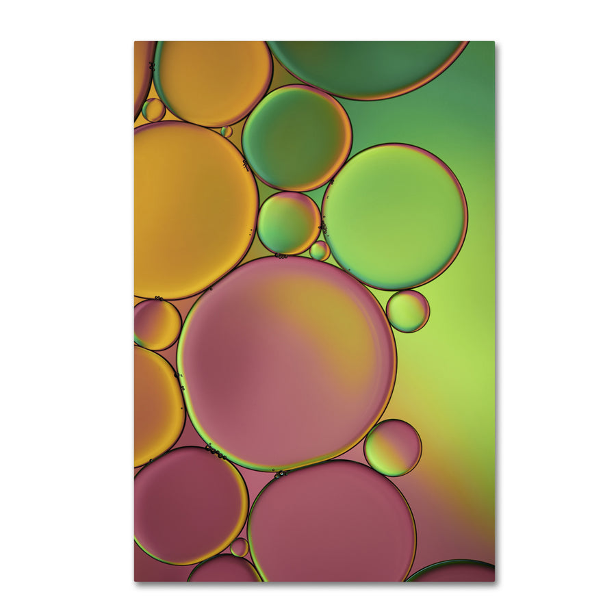 Cora Niele Green and Orange Drops Canvas Art 16 x 24 Image 1