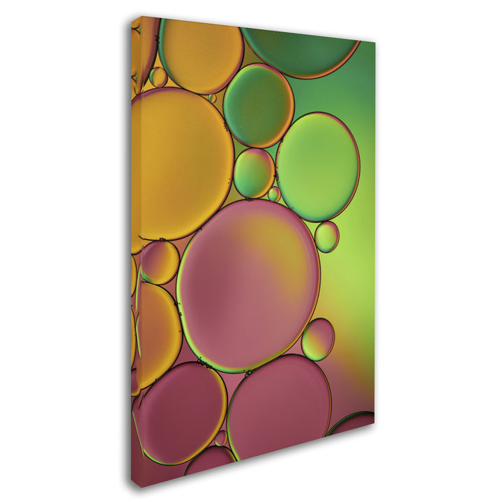 Cora Niele Green and Orange Drops Canvas Art 16 x 24 Image 2