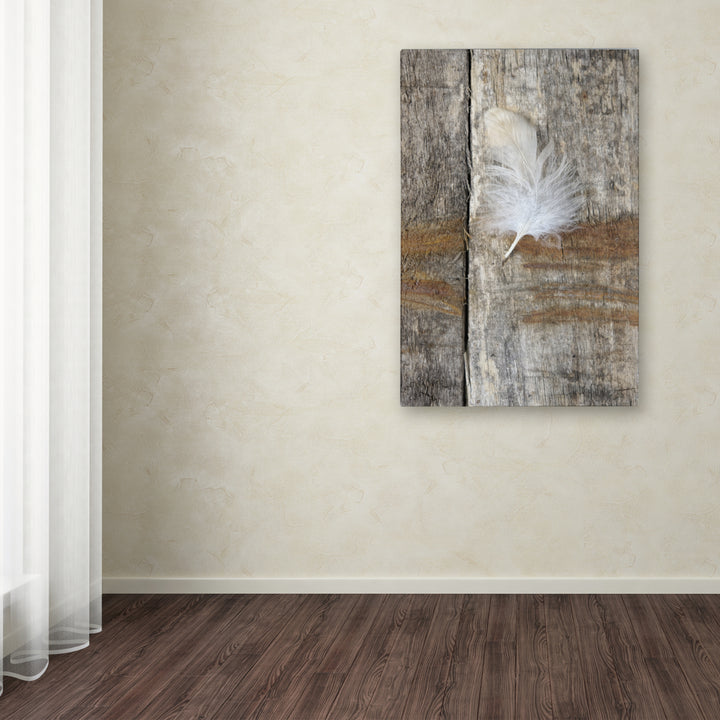 Cora Niele Feather on Wood I Canvas Art 16 x 24 Image 3