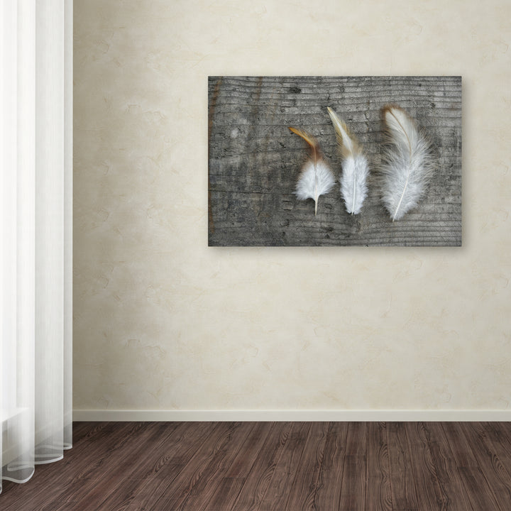 Cora Niele Three Feathers on Wood Canvas Art 16 x 24 Image 3