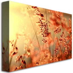 Beata Czyzowska Young Sunset Conversations Canvas Art 16 x 24 Image 3