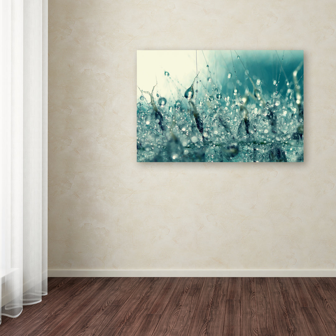 Beata Czyzowska Young Under the Sea Canvas Art 16 x 24 Image 3