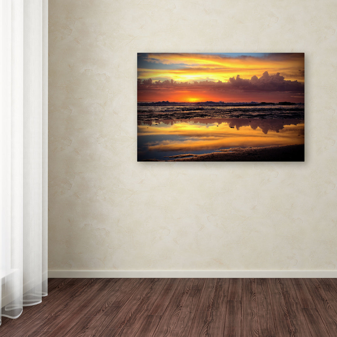 Beata Czyzowska Young Morning Reflections Canvas Art 16 x 24 Image 3