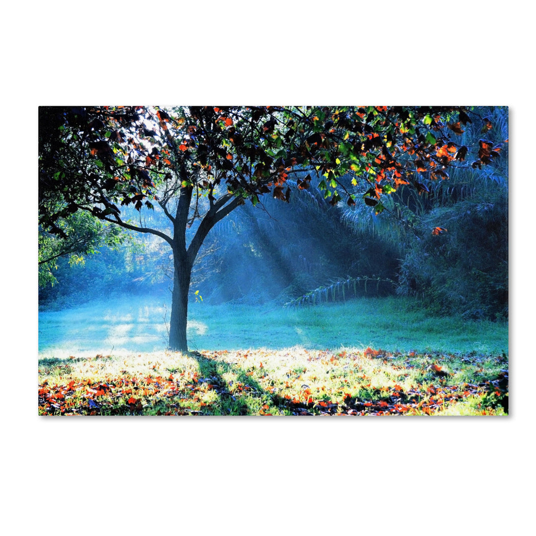 Beata Czyzowska Young Rays of Hope Canvas Art 16 x 24 Image 1