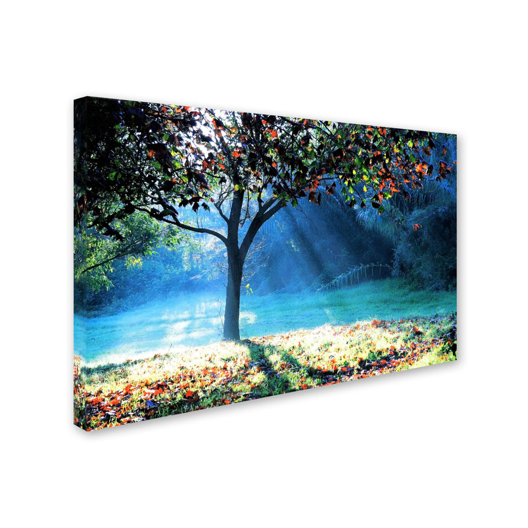 Beata Czyzowska Young Rays of Hope Canvas Art 16 x 24 Image 2