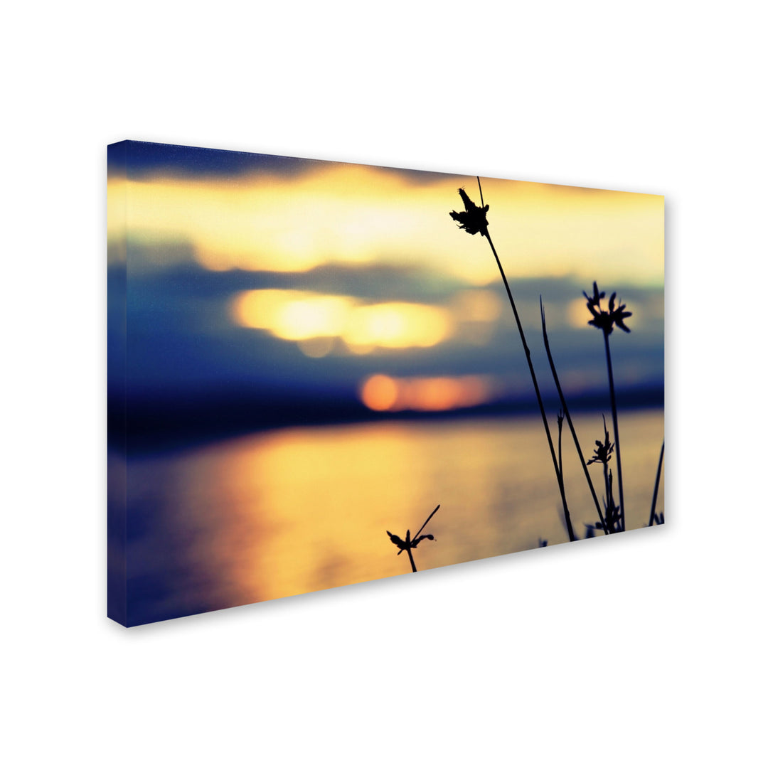 Beata Czyzowska Young Sunset Thoughts Canvas Art 16 x 24 Image 2