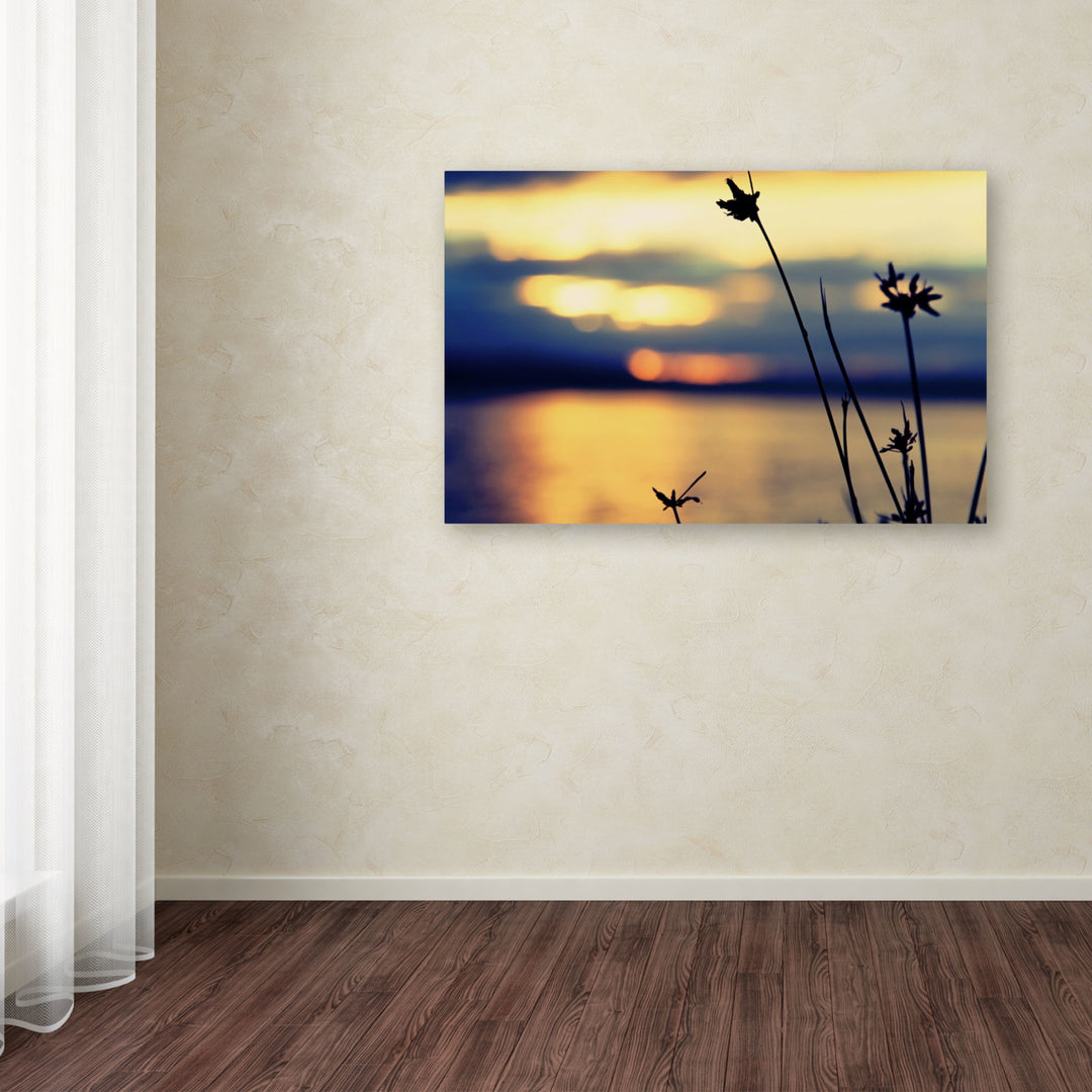 Beata Czyzowska Young Sunset Thoughts Canvas Art 16 x 24 Image 3