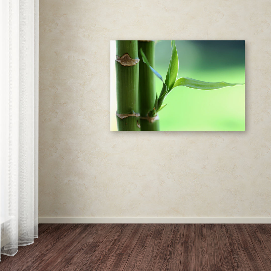 Beata Czyzowska Young Green Dream Canvas Art 16 x 24 Image 3