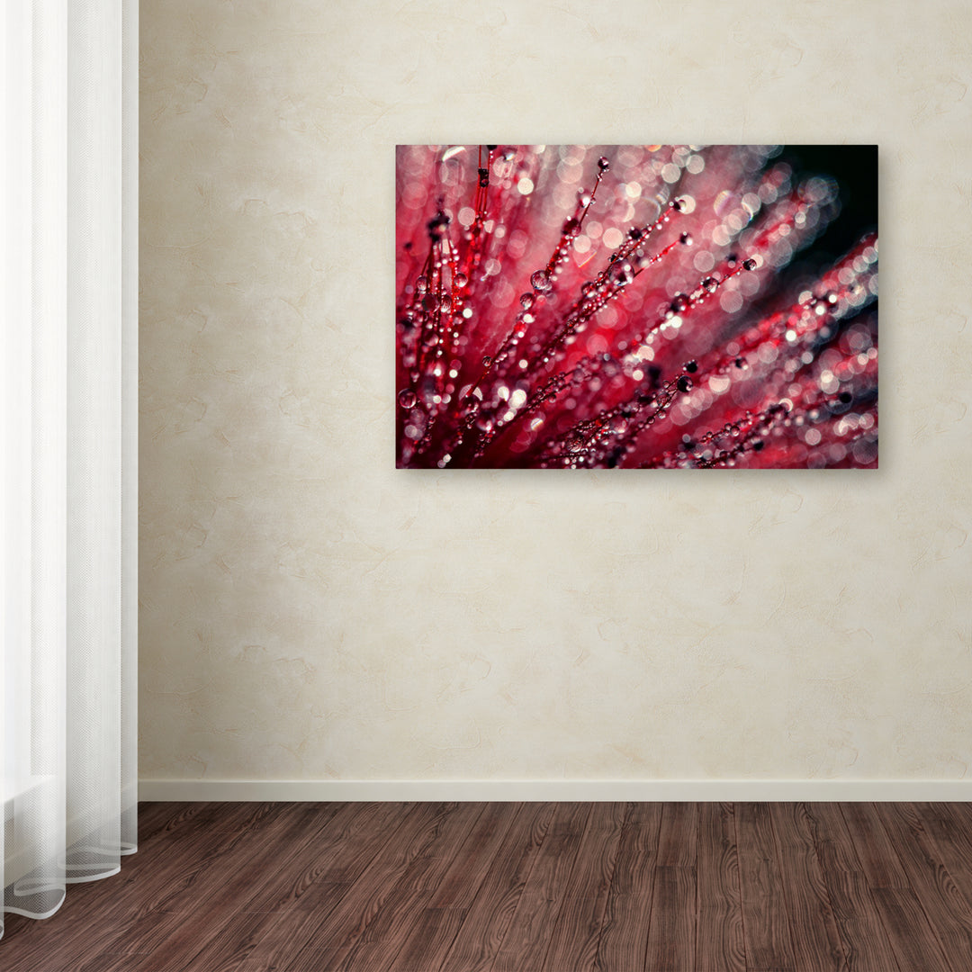 Beata Czyzowska Young Sonata in Red Canvas Art 16 x 24 Image 3