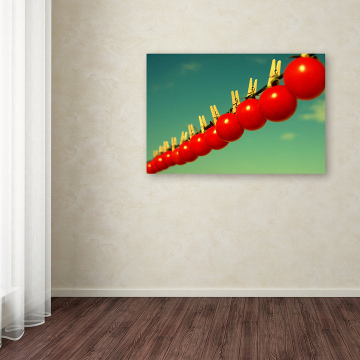 Beata Czyzowska Young Sundried Tomatoes Canvas Art 16 x 24 Image 3