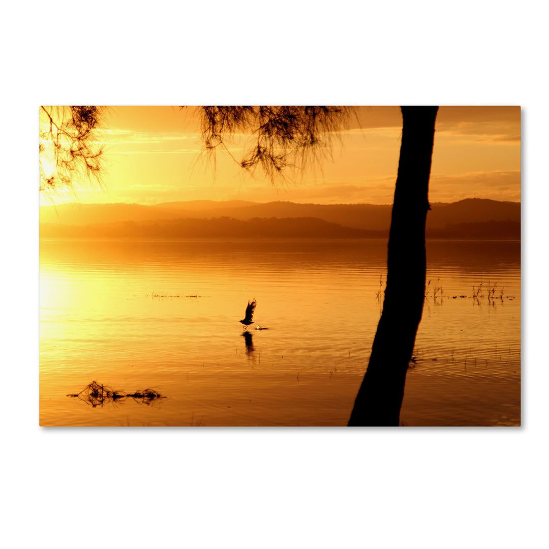 Beata Czyzowska Young Sunset Journey Canvas Art 16 x 24 Image 1