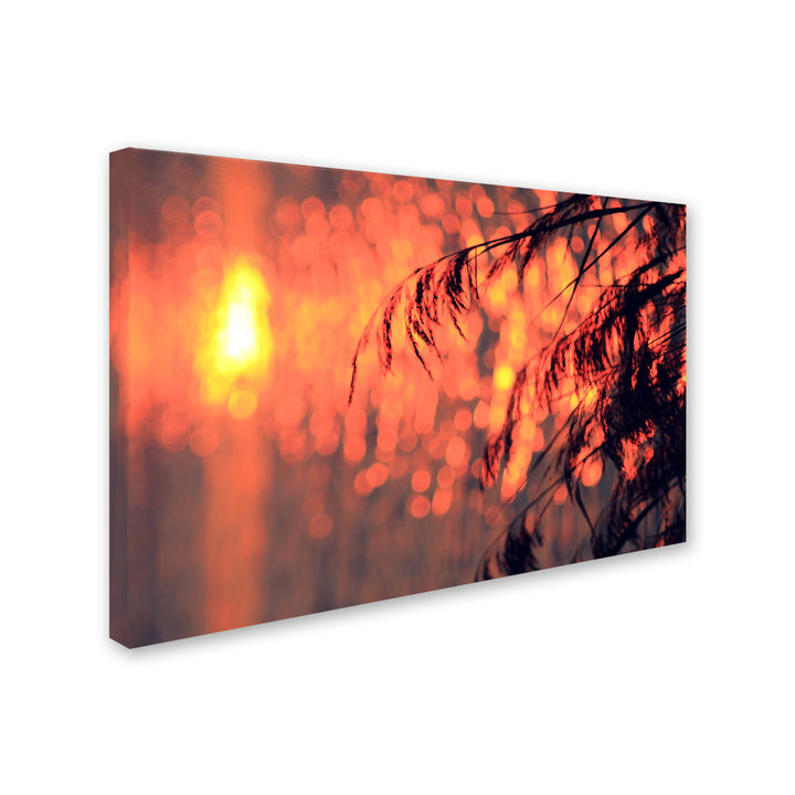 Beata Czyzowska Young Sunset Wishes Canvas Art 16 x 24 Image 2