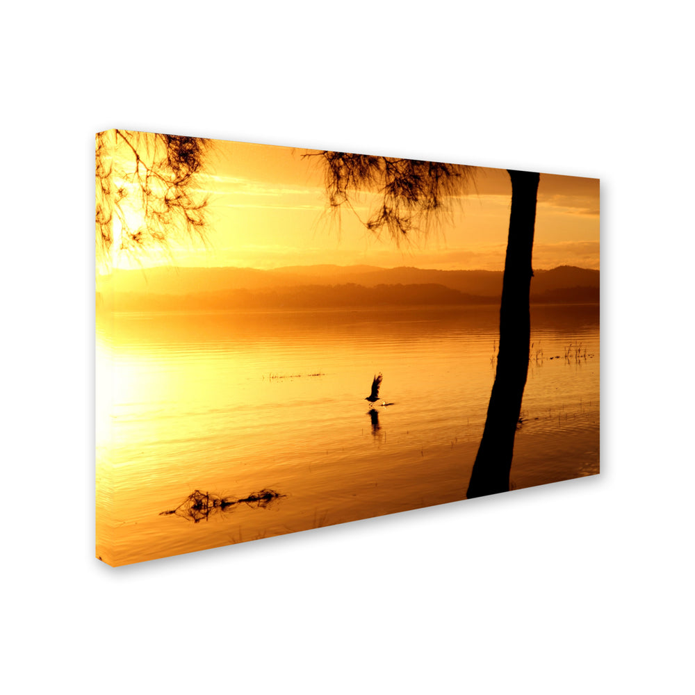 Beata Czyzowska Young Sunset Journey Canvas Art 16 x 24 Image 2