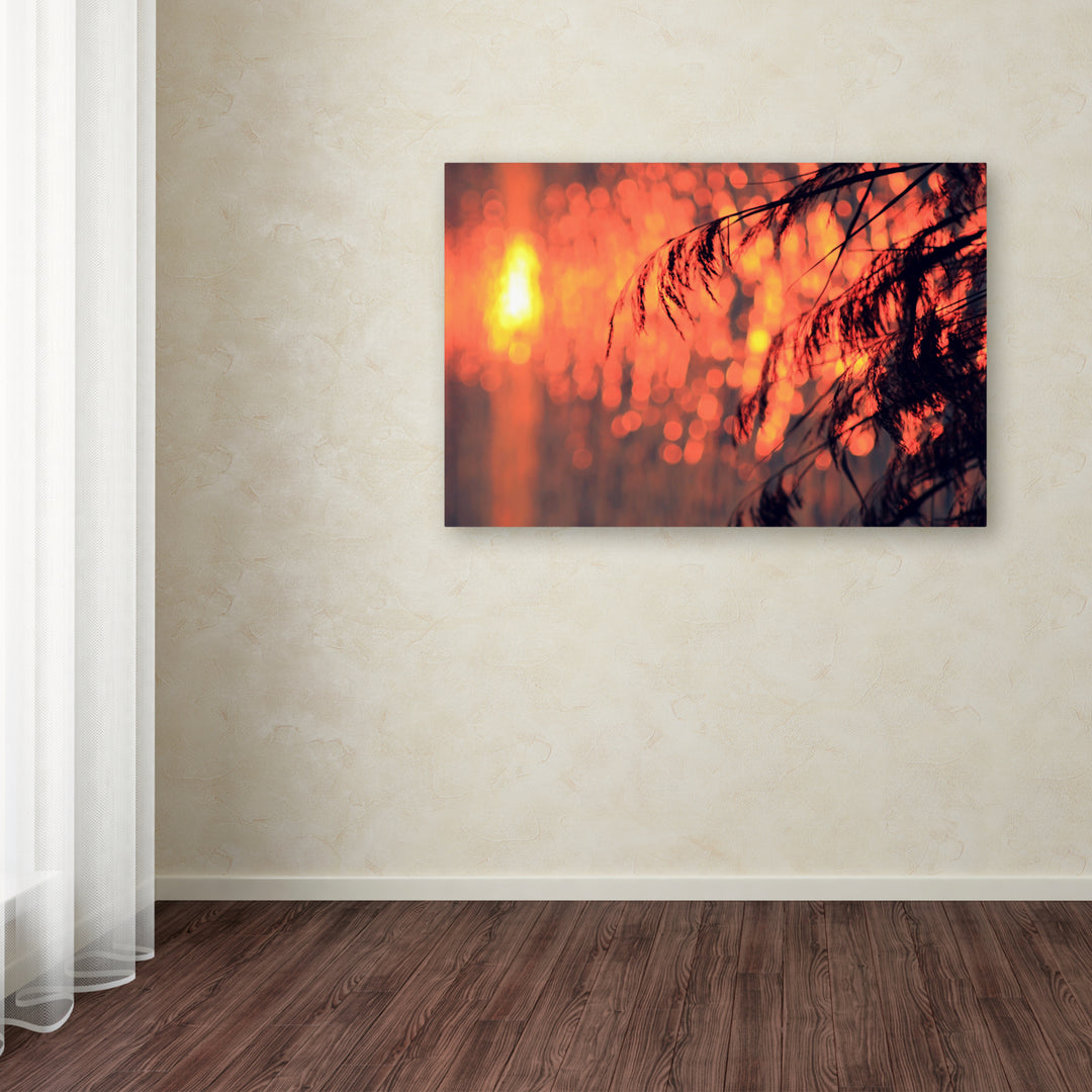 Beata Czyzowska Young Sunset Wishes Canvas Art 16 x 24 Image 3