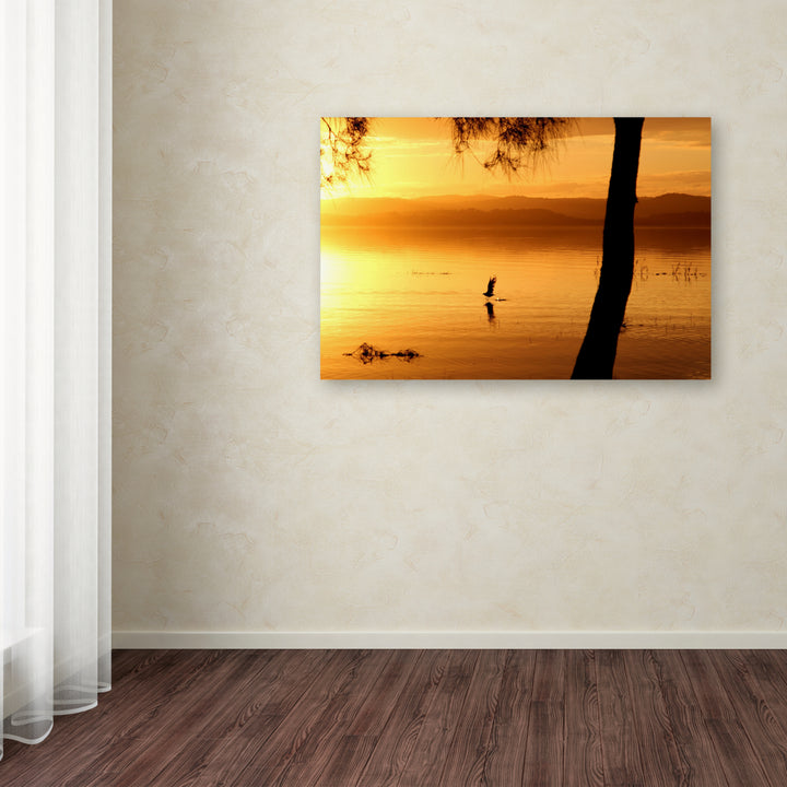 Beata Czyzowska Young Sunset Journey Canvas Art 16 x 24 Image 3