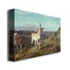 Albert Biersdant Antelope Canvas Art 16 x 24 Image 2