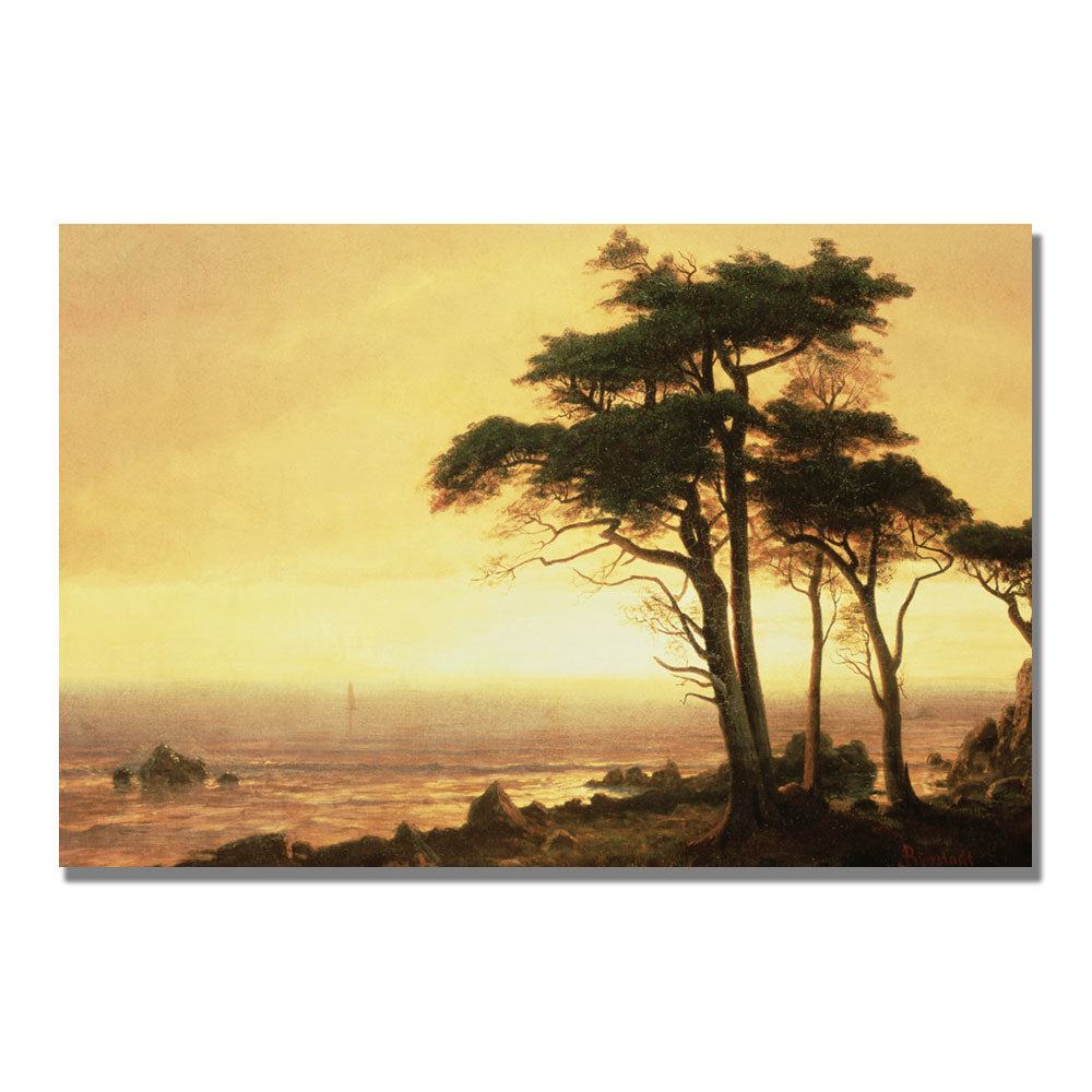 Albert Biersdant California Coast Canvas Art 16 x 24 Image 1