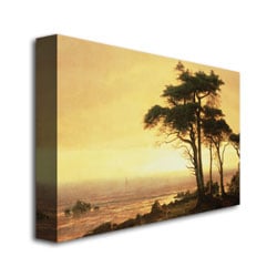 Albert Biersdant California Coast Canvas Art 16 x 24 Image 3