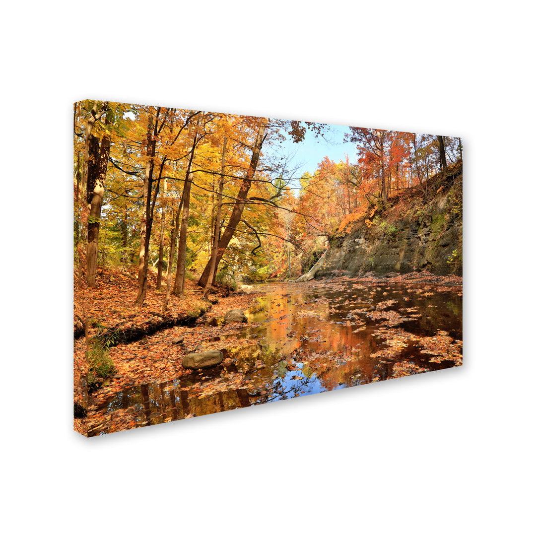 Jason Shaffer Beaver Creek 2 Canvas Art 16 x 24 Image 2