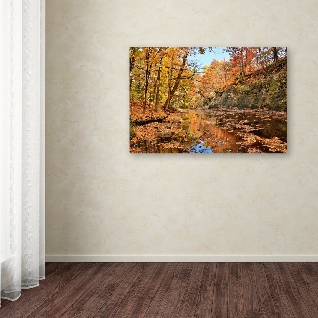 Jason Shaffer Beaver Creek 2 Canvas Art 16 x 24 Image 3