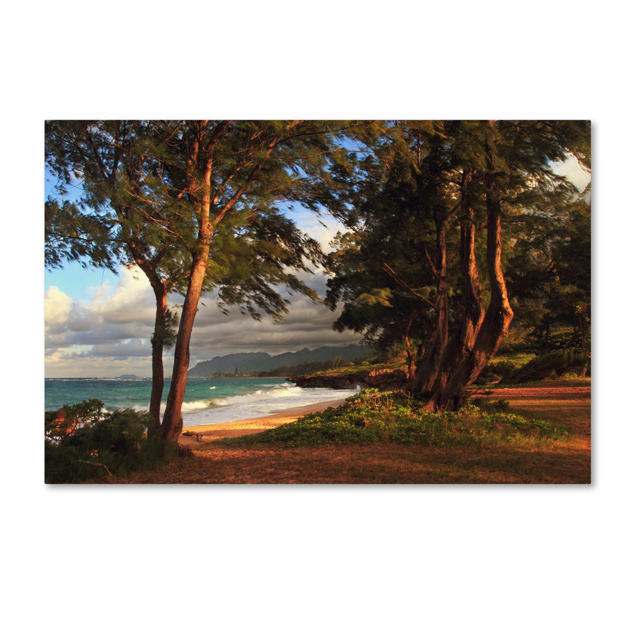 Jason Shaffer Hawaii 5 Canvas Art 16 x 24 Image 1