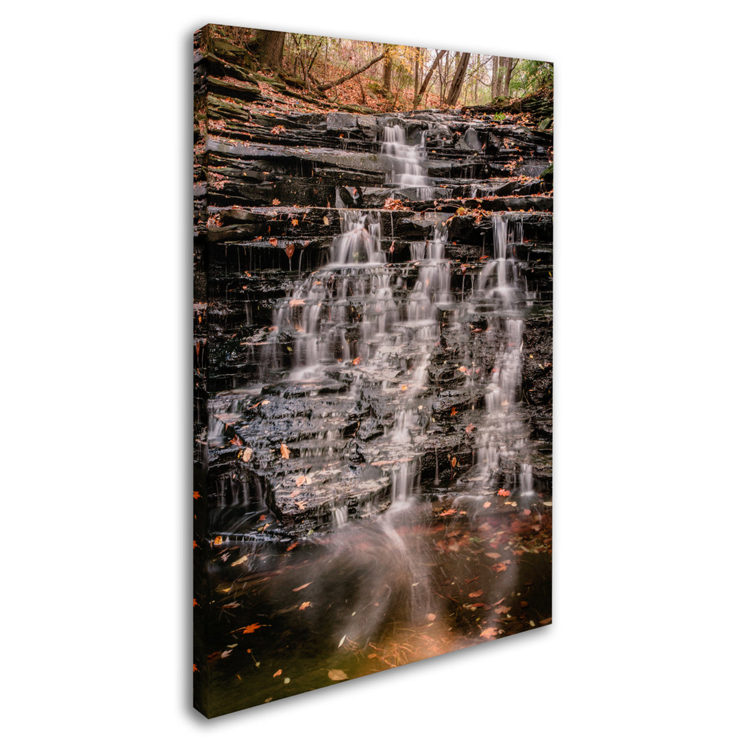 Jason Shaffer Hidden Falls Canvas Art 16 x 24 Image 2