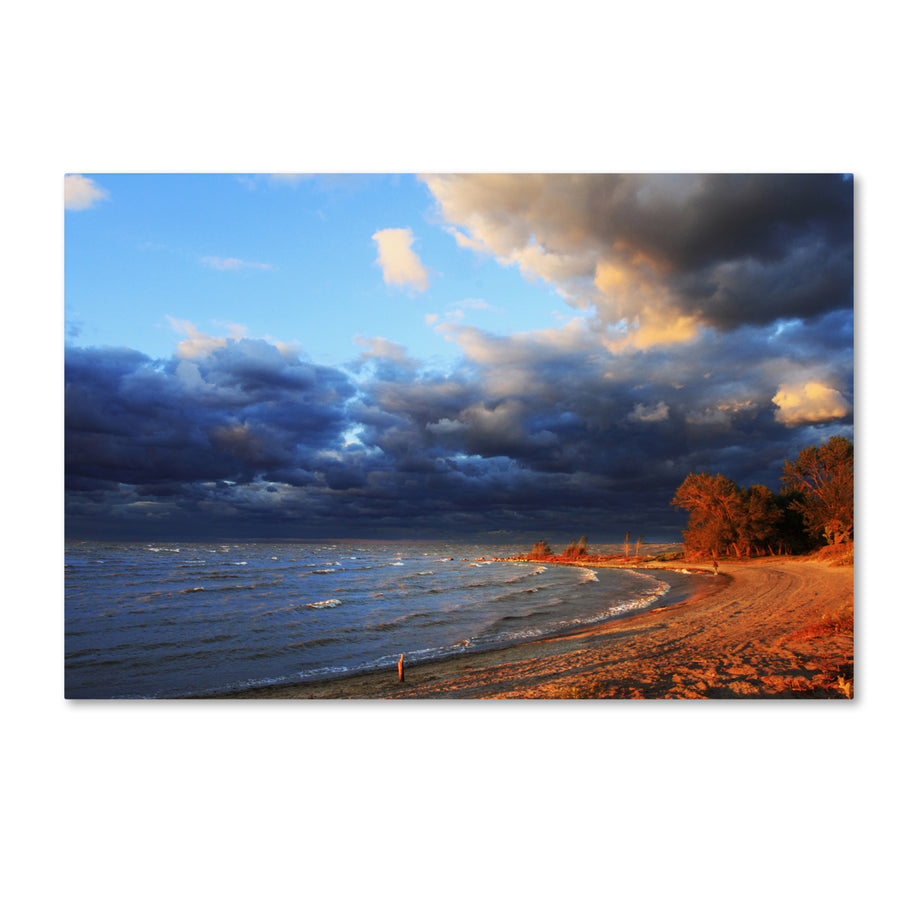 Jason Shaffer Lake Erie Autumn Canvas Art 16 x 24 Image 1