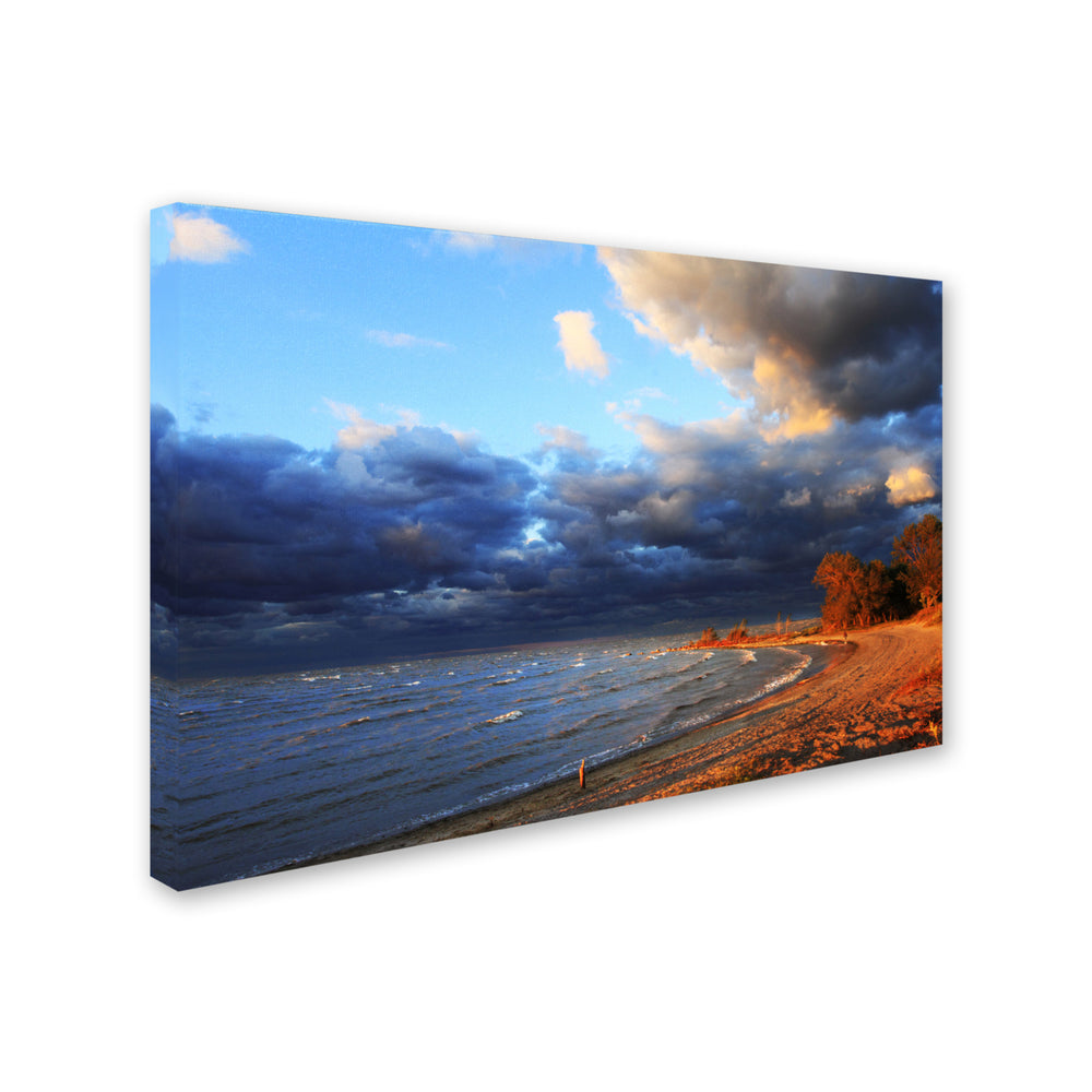 Jason Shaffer Lake Erie Autumn Canvas Art 16 x 24 Image 2