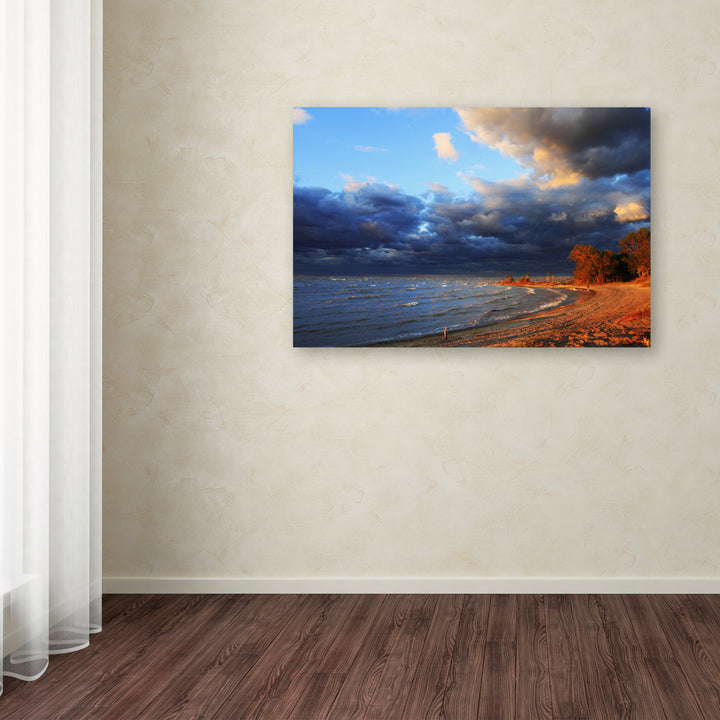 Jason Shaffer Lake Erie Autumn Canvas Art 16 x 24 Image 3