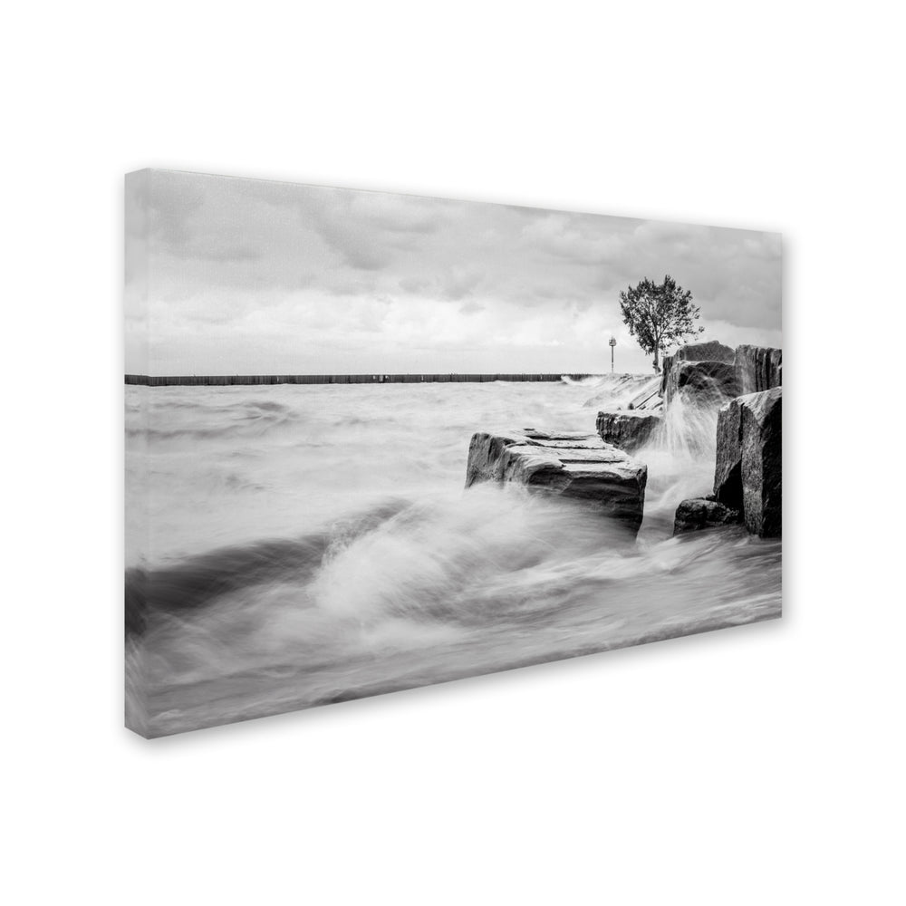Jason Shaffer Lake Erie Canvas Art 16 x 24 Image 2