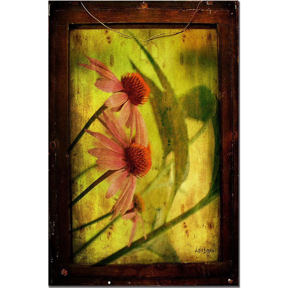 Antiqued Cone Flowers by Lois Bryan 16x24 Canvas Art 16 x 24 Image 1