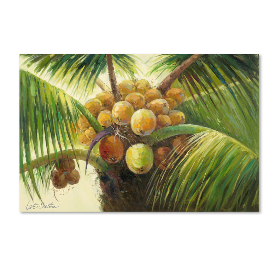 Victor Giton Coconut Palm II Canvas Art 16 x 24 Image 1
