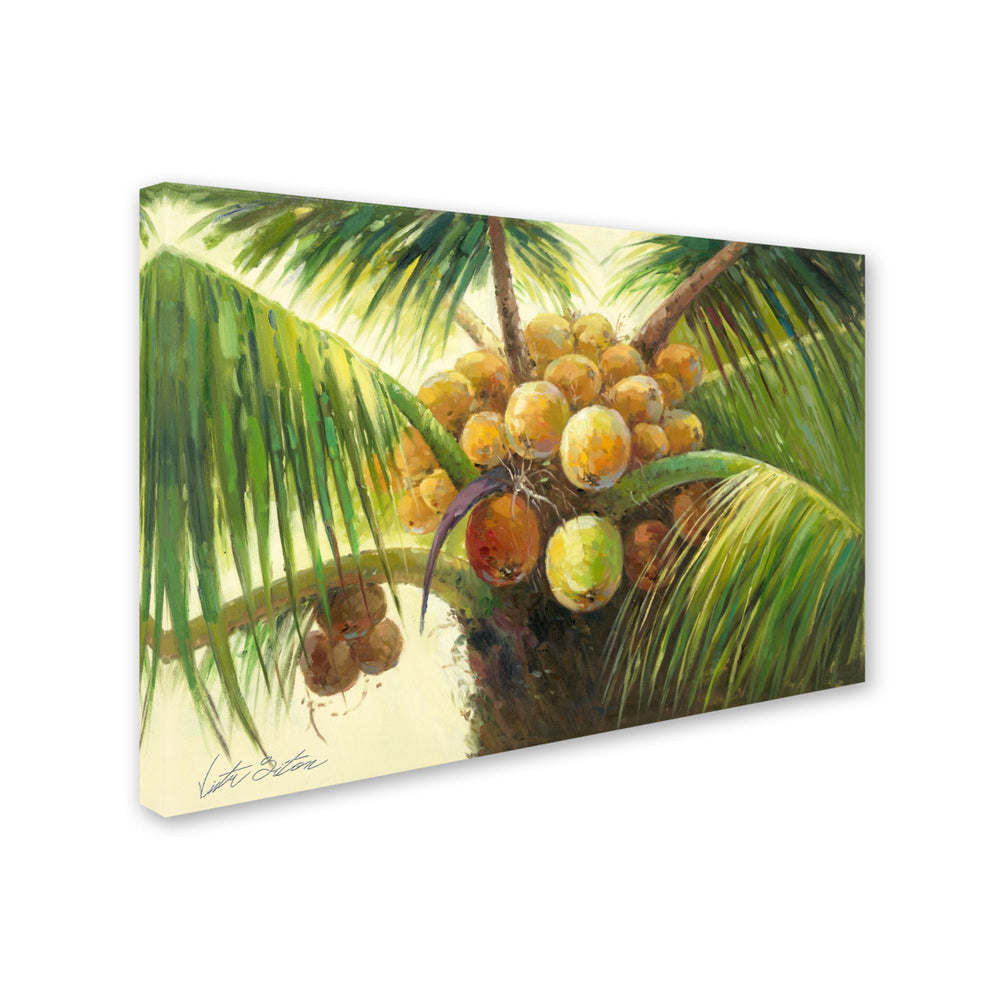 Victor Giton Coconut Palm II Canvas Art 16 x 24 Image 2