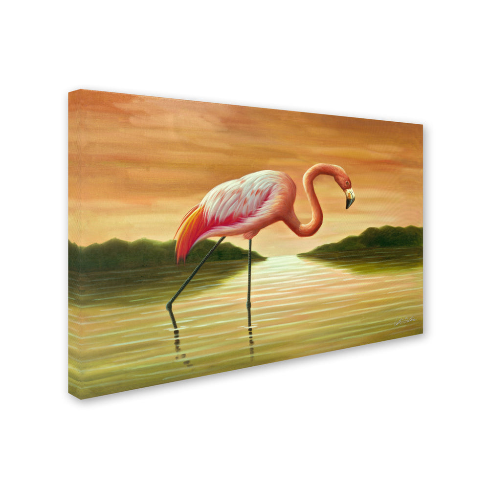 Victor Giton Pink Flamingo Canvas Art 16 x 24 Image 2