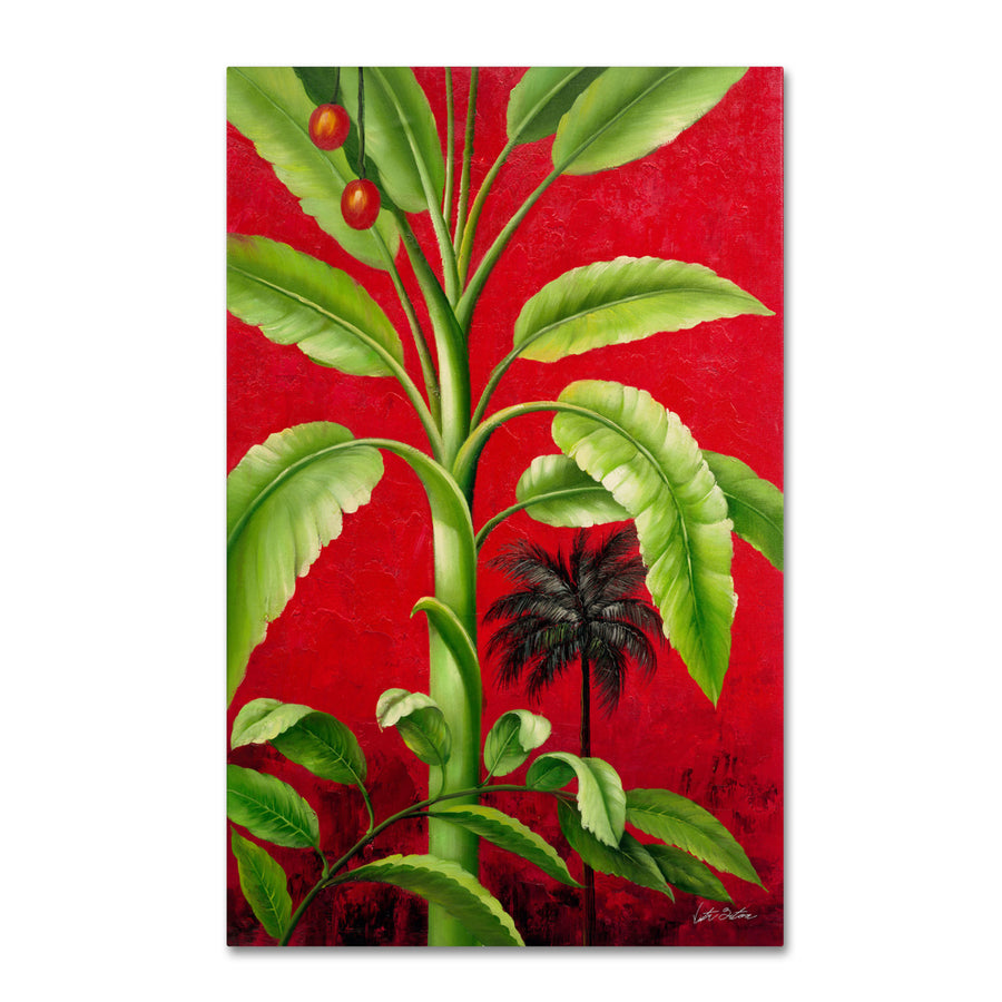 Victor Giton Tropical Palm II Canvas Art 16 x 24 Image 1